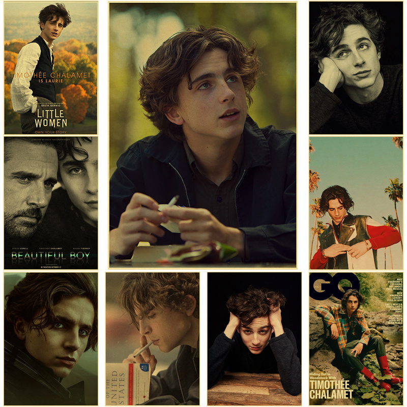Timothee Chalamet Retro Canvas - Home Bar And Theater recension och pris