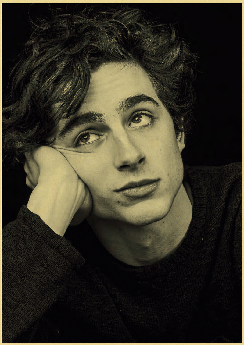 Timothee Chalamet Retro Canvas - Home Bar And Theater recension och pris